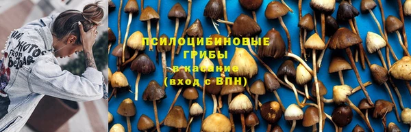 амф Аркадак