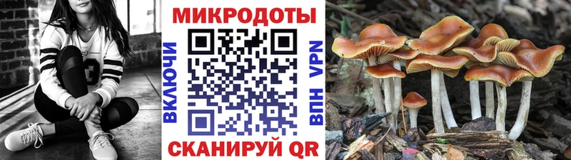 Псилоцибиновые грибы мухоморы Белокуриха